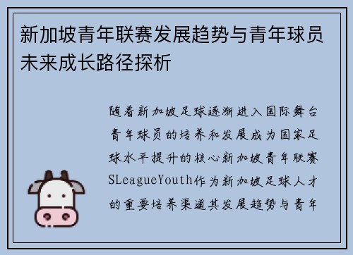 新加坡青年联赛发展趋势与青年球员未来成长路径探析